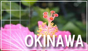 沖縄旅行ドットコム/オプショナルツアー沖縄本島