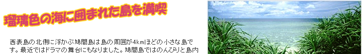 石垣島 オプショナルツアー 鳩間島&バラス