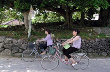 竹富島 Ｂコース/サイクリングコース・水牛車コース